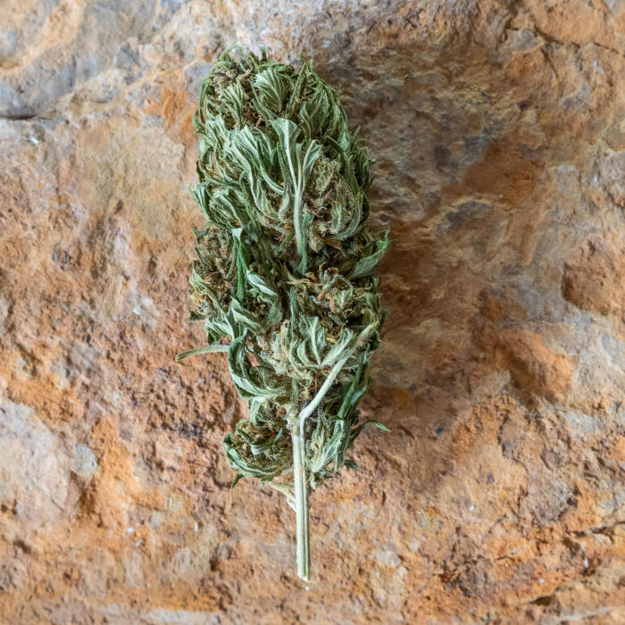 Arizona Dream - brute - image 2