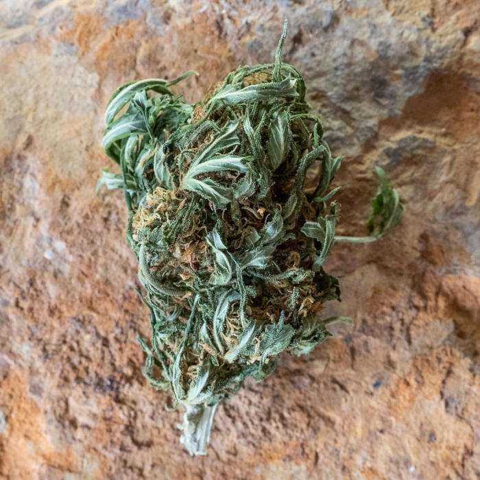 Arizona Dream - brute - image 4
