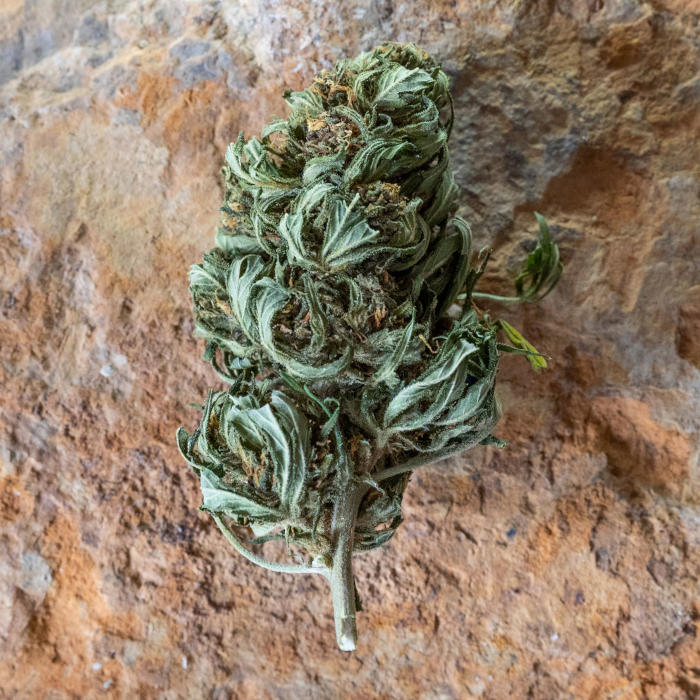 Fleurs de CBD Arizona Dream — brute