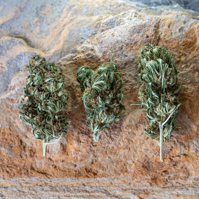 Arizona Dream - brute - image 3