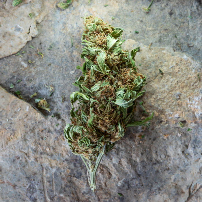 AK 47 - brute - image 4