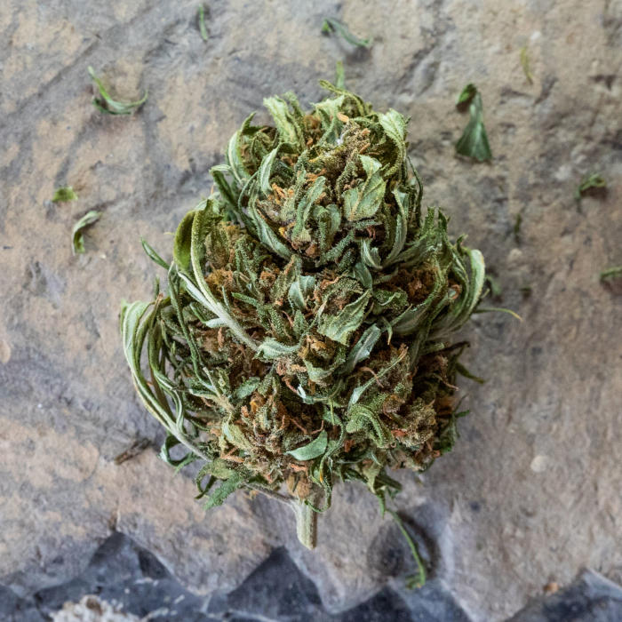 Fleurs de CBD CBD Heaven — brute