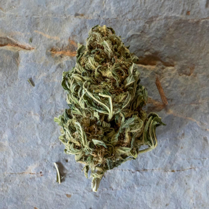 Fleurs de CBD LFO Signature — brute