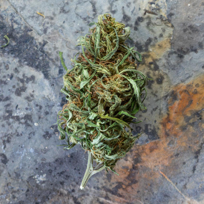 Fleurs de CBD Western Cherry — brute